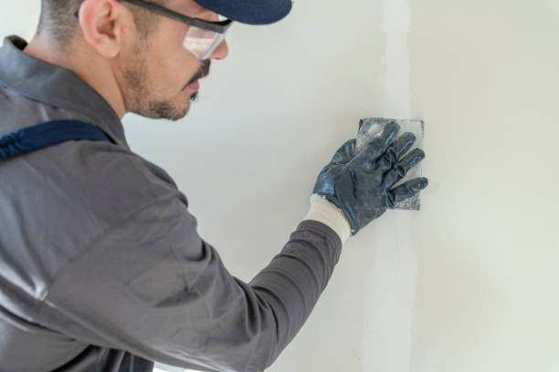 Best Mold Damage Restoration  in Pickerington, OH