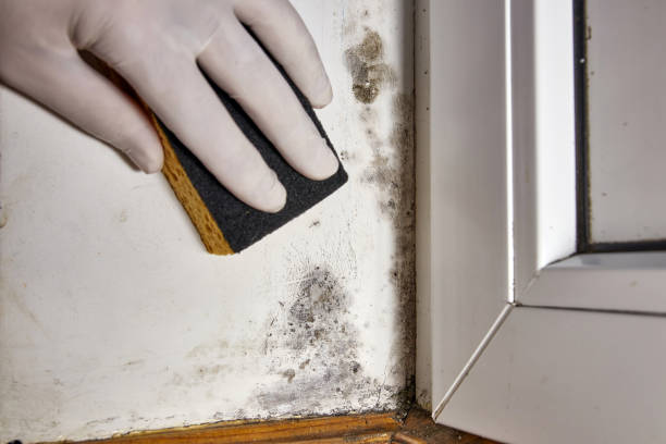 Best Residential Mold Inspection & Testing  in Pickerington, OH
