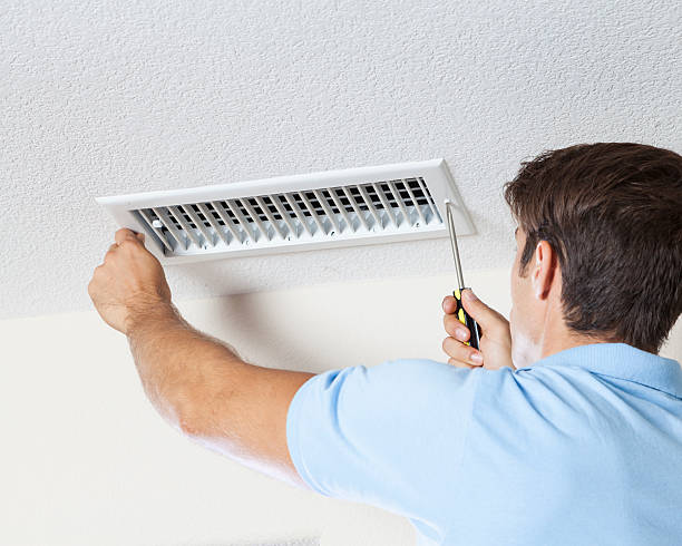 Best Mold Odor Removal Services  in Pickerington, OH